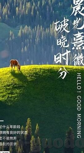 麻豆传媒好看的-麻豆传媒，视觉盛宴的独特魅力
