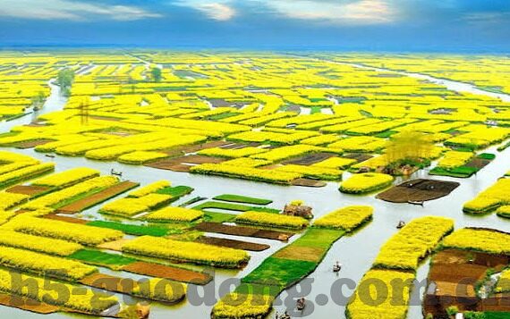 麻豆优选av在线-文章，关于最热门的麻豆优选AV如何影响我们的数字娱乐生活