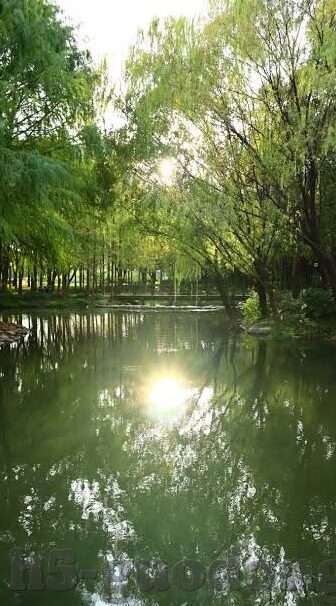 糖心app官方下载苹果-便捷生活新选择，体验糖心App官方下载在苹果设备上的独特魅力
