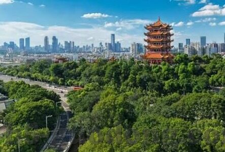 糖心app新版-糖心app新版的焕新之旅，用户体验重塑与技术革新并行