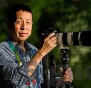 糖心vlog深夜释放自己官网-关于夜的自由，探索糖心Vlog深夜释放的在线平台